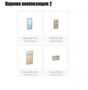 Прихожая Карина (модульная) в Златоусте - zlatoust.mebel24.online | фото 6