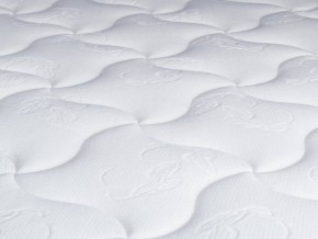 PROxSON Матрас Active M Roll (Ткань Трикотаж Эко) 160x200 в Златоусте - zlatoust.mebel24.online | фото 9