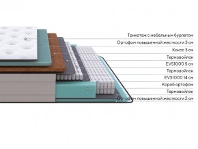 PROxSON Матрас Elysium Firm (Трикотаж Spiral-RT) 80x200 в Златоусте - zlatoust.mebel24.online | фото 2