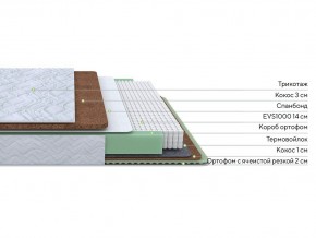 PROxSON Матрас Green Duo M/F (Tricotage Dream) 120x190 в Златоусте - zlatoust.mebel24.online | фото 2