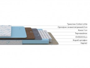 PROxSON Матрас Совенок (Print) 120x120 в Златоусте - zlatoust.mebel24.online | фото 2