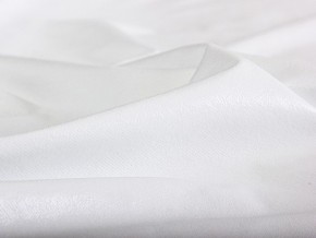 PROxSON Защитный чехол Aqua Save Light S (Ткань влагостойкая Tencel Jersey) 200x195 в Златоусте - zlatoust.mebel24.online | фото 6