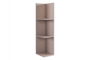 РИЧ Полка навесная 2 (кашемир) в Златоусте - zlatoust.mebel24.online | фото 4