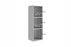 РИЧ Шкаф навесной в Златоусте - zlatoust.mebel24.online | фото 3