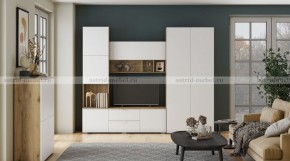 МИЛАН-1 Секция ТВ (ЦРК.МЛН.01 секция ТВ) в Златоусте - zlatoust.mebel24.online | фото 3
