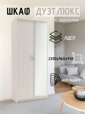Шкаф 2-х створчатый Дуэт Люкс с зеркалом в Златоусте - zlatoust.mebel24.online | фото 5