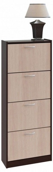 Шкаф для обуви ТО-24 в Златоусте - zlatoust.mebel24.online | фото