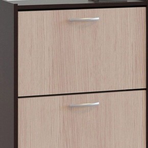 Шкаф для обуви ТО-24 в Златоусте - zlatoust.mebel24.online | фото 4