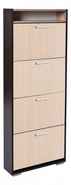 Шкаф для обуви УК-4 в Златоусте - zlatoust.mebel24.online | фото 1