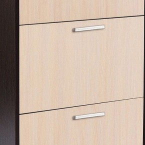 Шкаф для обуви УК-4 в Златоусте - zlatoust.mebel24.online | фото 2