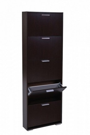 Шкаф для обуви УК-5 10000130 в Златоусте - zlatoust.mebel24.online | фото