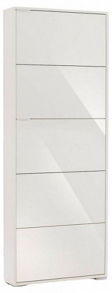 Шкаф для обуви Viva-5S в Златоусте - zlatoust.mebel24.online | фото