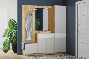 Шкаф для одежды НМ 013.12 "Нортон" (Крафт Золотой) в Златоусте - zlatoust.mebel24.online | фото 3