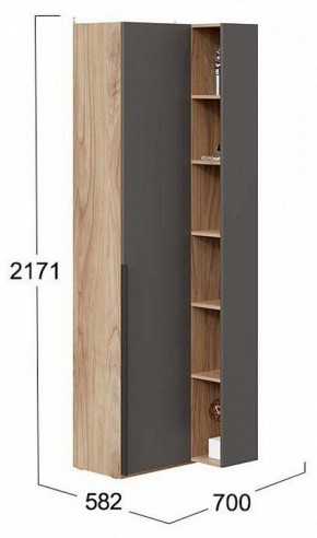 Шкаф комбинированный Порто СМ-393.21.024 в Златоусте - zlatoust.mebel24.online | фото 2
