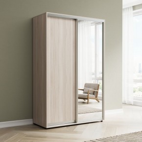 Шкаф-купе Акцент-Сим ДЗ 1000-600 в Златоусте - zlatoust.mebel24.online | фото 6