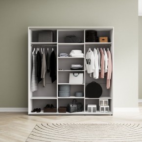Шкаф-купе Акцент-Сим ДЗ 1500-600 в Златоусте - zlatoust.mebel24.online | фото 2