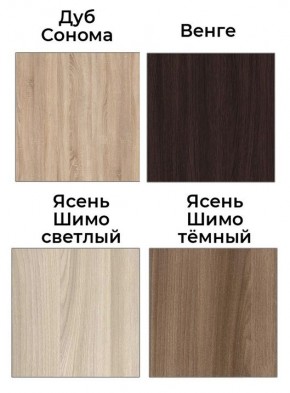 Шкаф-купе Элвис 1500 вариант 7 (Тройной ЛДСП/Тройной ЛДСП) в Златоусте - zlatoust.mebel24.online | фото