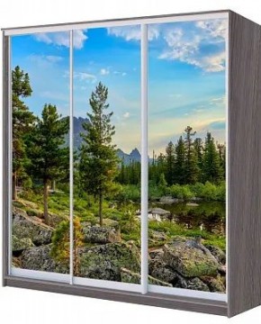 Шкаф-купе ХИТ 22-20/2-777 ПРИРОДА в Златоусте - zlatoust.mebel24.online | фото