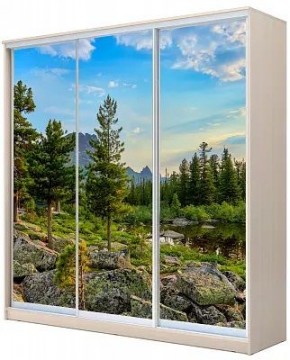 Шкаф-купе ХИТ 22-20-777 ПРИРОДА в Златоусте - zlatoust.mebel24.online | фото