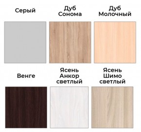 Шкаф-купе ХИТ 22-4-14-11 (420) в Златоусте - zlatoust.mebel24.online | фото 5