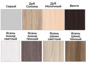 Шкаф-купе ХИТ 22-4-15-88 (420) в Златоусте - zlatoust.mebel24.online | фото 3