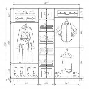 Шкаф-купе ХИТ 22-4-20-111 (420) в Златоусте - zlatoust.mebel24.online | фото 2