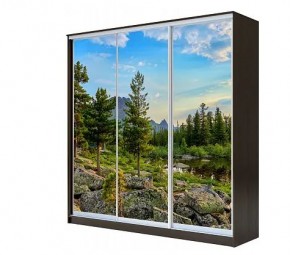 Шкаф-купе ХИТ 22-4-20-777 (420) в Златоусте - zlatoust.mebel24.online | фото