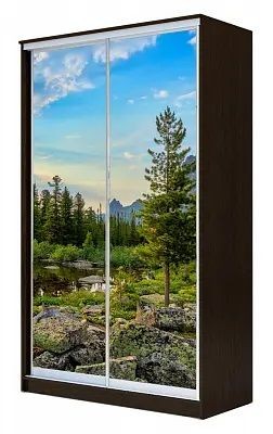 Шкаф-купе ХИТ 23-17-77 ПРИРОДА в Златоусте - zlatoust.mebel24.online | фото