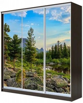 Шкаф-купе ХИТ 23-20-777 ПРИРОДА в Златоусте - zlatoust.mebel24.online | фото