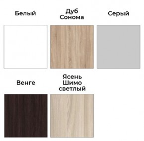 Шкаф-купе ХИТ 23-24/2-7777 (620) в Златоусте - zlatoust.mebel24.online | фото 2