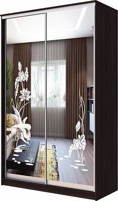 Шкаф-купе ХИТ 23-4-15-66 ЦАПЛИ в Златоусте - zlatoust.mebel24.online | фото