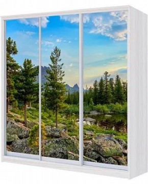 Шкаф-купе ХИТ 23-4-20/2-777 ПРИРОДА в Златоусте - zlatoust.mebel24.online | фото