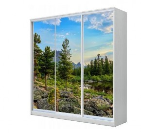 Шкаф-купе ХИТ 23-4-20-777 (420) в Златоусте - zlatoust.mebel24.online | фото
