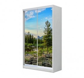 Шкаф-купе ХИТ 24-12/2-77 (620) в Златоусте - zlatoust.mebel24.online | фото