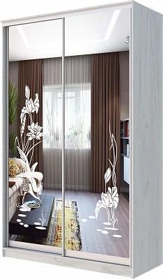 Шкаф-купе ХИТ 24-14-66 ЦАПЛИ в Златоусте - zlatoust.mebel24.online | фото