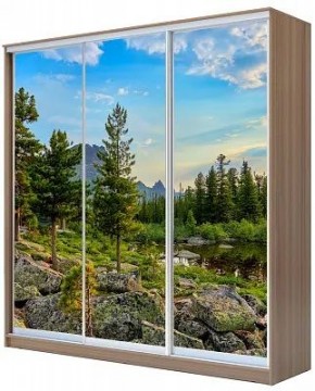 Шкаф-купе ХИТ 24-18-777 ПРИРОДА в Златоусте - zlatoust.mebel24.online | фото