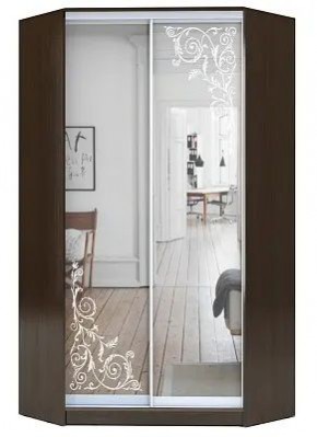 Шкаф-купе ХИТ-У-L-23-64-66 ОРНАМЕНТ в Златоусте - zlatoust.mebel24.online | фото