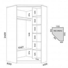 Шкаф-купе ХИТ-У-L-24-64-55 в Златоусте - zlatoust.mebel24.online | фото 3