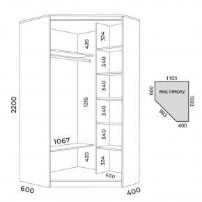 Шкаф-купе ХИТ-У-R-22-64-77 в Златоусте - zlatoust.mebel24.online | фото 3