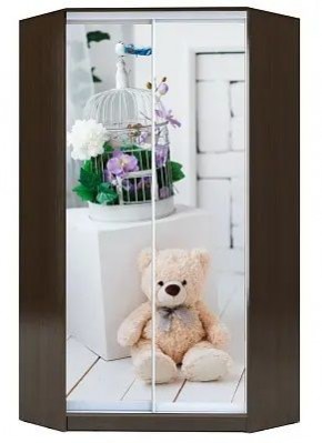 Шкаф-купе ХИТ-У-R-22-64-77 МИШКА В ИНТЕРЬЕРЕ в Златоусте - zlatoust.mebel24.online | фото
