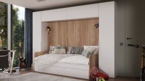 Шкаф навесной Порто СМ-393.21.022-24 в Златоусте - zlatoust.mebel24.online | фото 3