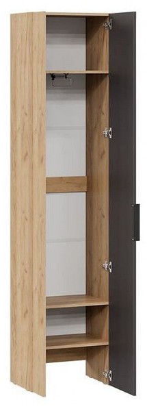 Шкаф платяной Асти в Златоусте - zlatoust.mebel24.online | фото 2