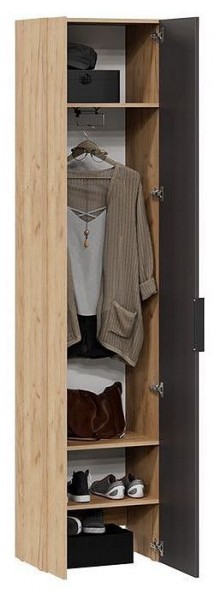 Шкаф платяной Асти в Златоусте - zlatoust.mebel24.online | фото 3