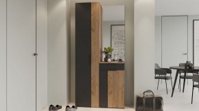 Шкаф платяной Асти в Златоусте - zlatoust.mebel24.online | фото 5