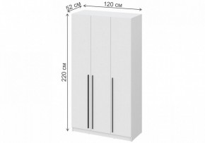 Шкаф платяной Бирма ШК-1200 в Златоусте - zlatoust.mebel24.online | фото 4
