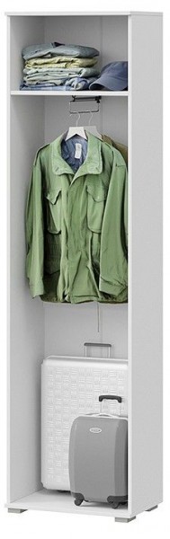 Шкаф платяной Эрика в Златоусте - zlatoust.mebel24.online | фото 2