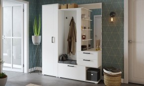 Шкаф платяной Эрика в Златоусте - zlatoust.mebel24.online | фото 3
