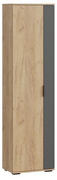Шкаф платяной Эвита в Златоусте - zlatoust.mebel24.online | фото