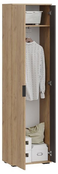 Шкаф платяной Эвита в Златоусте - zlatoust.mebel24.online | фото 3