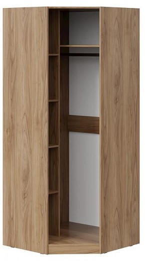 Шкаф платяной Глосс СМ-319.07.311 в Златоусте - zlatoust.mebel24.online | фото 2